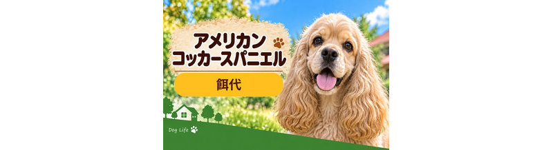 アメリカンコッカースパニエルの餌代は月いくら？体重からドッグフード代をシミュレーション