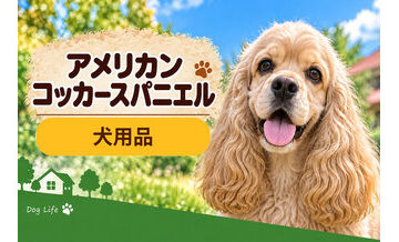 アメリカンコッカースパニエル向け犬用品の選び方｜ケージ・ベッド・ハーネスをまとめて確認