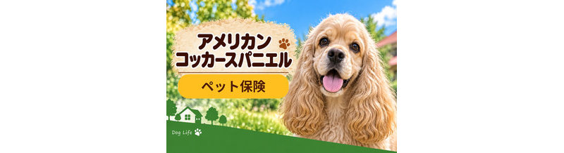 アメリカンコッカースパニエルのペット保険料はいくら？加入前に確認したい補償と費用