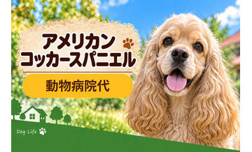 アメリカンコッカースパニエルの動物病院代は年間いくら？健康診断・予防・急な通院に備える