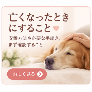 亡くなったときにすること