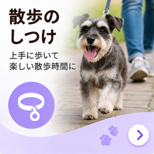 年齢別の暮らし