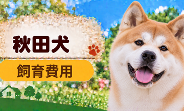 秋田犬を飼う費用はいくら？初期費用・年間費用・生涯費用を解説