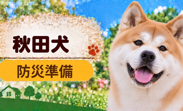 秋田犬の防災準備｜避難時に必要な用品と持ち出しリスト