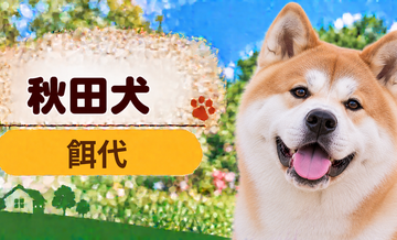 秋田犬の餌代は月いくら？体重からドッグフード代をシミュレーション