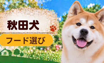 秋田犬のドッグフードはどう選ぶ？年齢・体格・食べ方に合わせた選び方