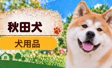 秋田犬向け犬用品の選び方｜ケージ・ベッド・ハーネスをまとめて確認