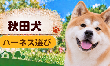 秋田犬のハーネス選び｜サイズ測定とフィット感のチェック