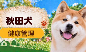 秋田犬の健康管理で意識したいこと｜毎日のチェックと定期健診