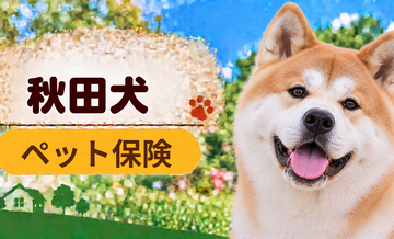 秋田犬のペット保険料はいくら？加入前に確認したい補償と費用