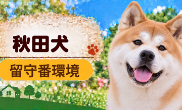 秋田犬の留守番環境を整える｜安全対策と便利グッズ