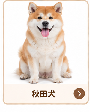秋田犬