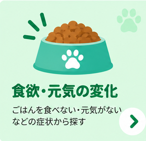 食欲・元気の変化