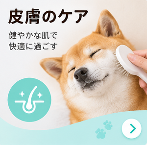 吠え・噛み対策