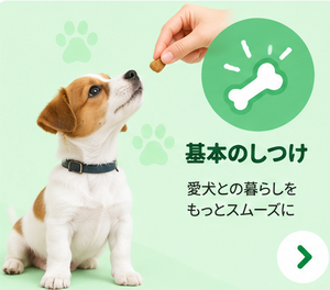 基本のしつけ