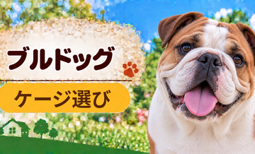 ブルドッグのケージサイズはどう選ぶ？成犬時の大きさまで考える