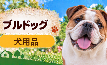 ブルドッグ向け犬用品の選び方｜ケージ・ベッド・ハーネスをまとめて確認