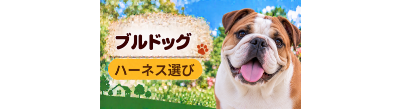 ブルドッグのハーネス選び｜サイズ測定とフィット感のチェック