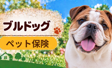 ブルドッグのペット保険料はいくら？加入前に確認したい補償と費用