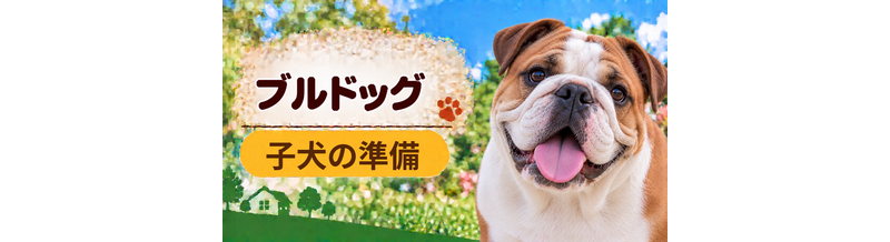 ブルドッグの子犬を迎えた1週間でやること｜食事・トイレ・生活環境