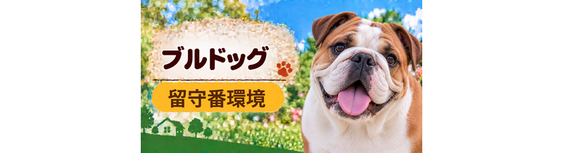 ブルドッグの留守番環境を整える｜安全対策と便利グッズ