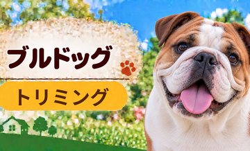ブルドッグのトリミング代はいくら？頻度と年間費用を計算