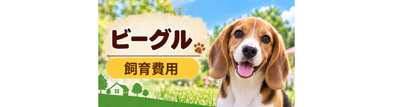 ビーグルを飼う費用はいくら？初期費用・年間費用・生涯費用を解説