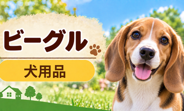 ビーグル向け犬用品の選び方｜ケージ・ベッド・ハーネスをまとめて確認