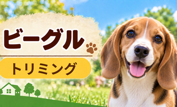 ビーグルのトリミング代はいくら？頻度と年間費用を計算