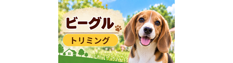 ビーグルのトリミング代はいくら？頻度と年間費用を計算