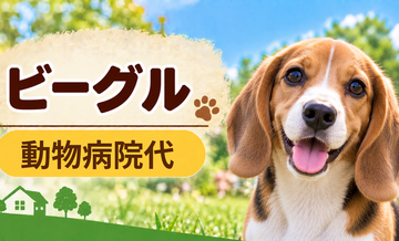 ビーグルの動物病院代は年間いくら？健康診断・予防・急な通院に備える