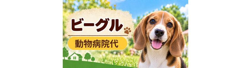 ビーグルの動物病院代は年間いくら？健康診断・予防・急な通院に備える
