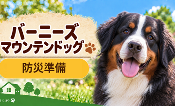 バーニーズマウンテンドッグの防災準備｜避難時に必要な用品と持ち出しリスト