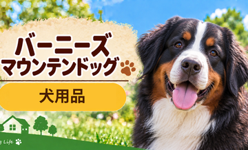 バーニーズマウンテンドッグ向け犬用品の選び方｜ケージ・ベッド・ハーネスをまとめて確認