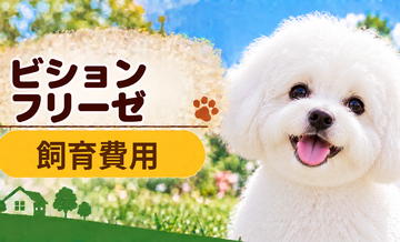 ビションフリーゼを飼う費用はいくら？初期費用・年間費用・生涯費用を解説
