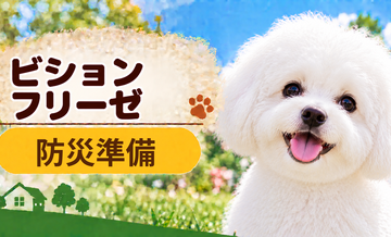 ビションフリーゼの防災準備｜避難時に必要な用品と持ち出しリスト