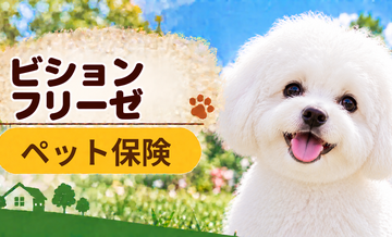 ビションフリーゼのペット保険料はいくら？加入前に確認したい補償と費用