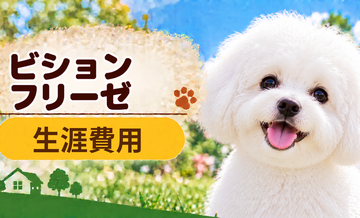 ビションフリーゼの生涯費用はいくら？子犬からシニアまで長期で考える