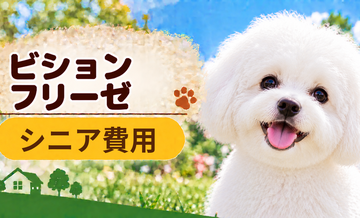シニア期のビションフリーゼにかかる費用｜食事・医療・介護の準備