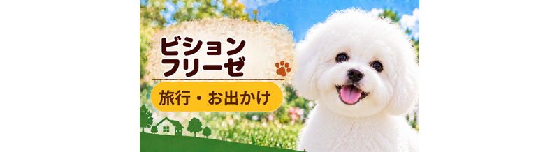 ビションフリーゼと旅行するときの持ち物｜移動・宿泊で役立つ犬用品