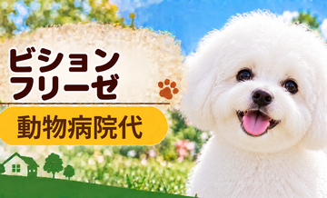 ビションフリーゼの動物病院代は年間いくら？健康診断・予防・急な通院に備える