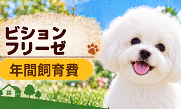 ビションフリーゼの年間飼育費はいくら？固定費と臨時出費をまとめて計算