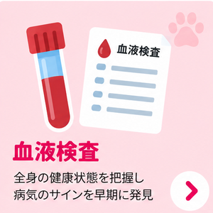 血液検査