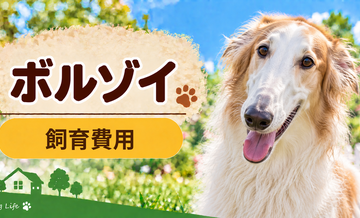 ボルゾイを飼う費用はいくら？初期費用・年間費用・生涯費用を解説