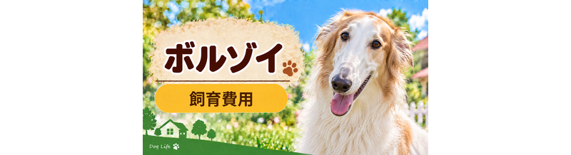 ボルゾイを飼う費用はいくら？初期費用・年間費用・生涯費用を解説