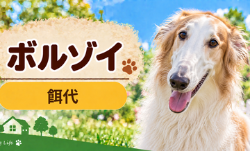 ボルゾイの餌代は月いくら？体重からドッグフード代をシミュレーション