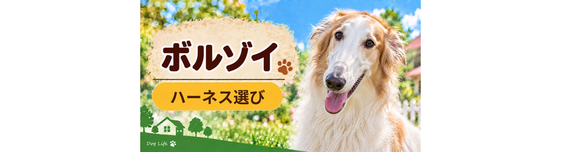 ボルゾイのハーネス選び｜サイズ測定とフィット感のチェック