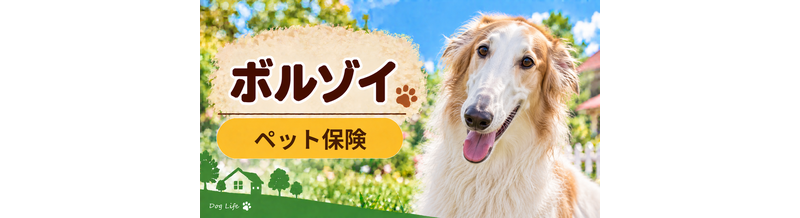ボルゾイのペット保険料はいくら？加入前に確認したい補償と費用