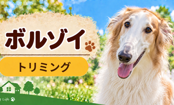 ボルゾイのトリミング代はいくら？頻度と年間費用を計算