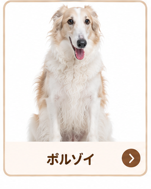 ボルゾイ